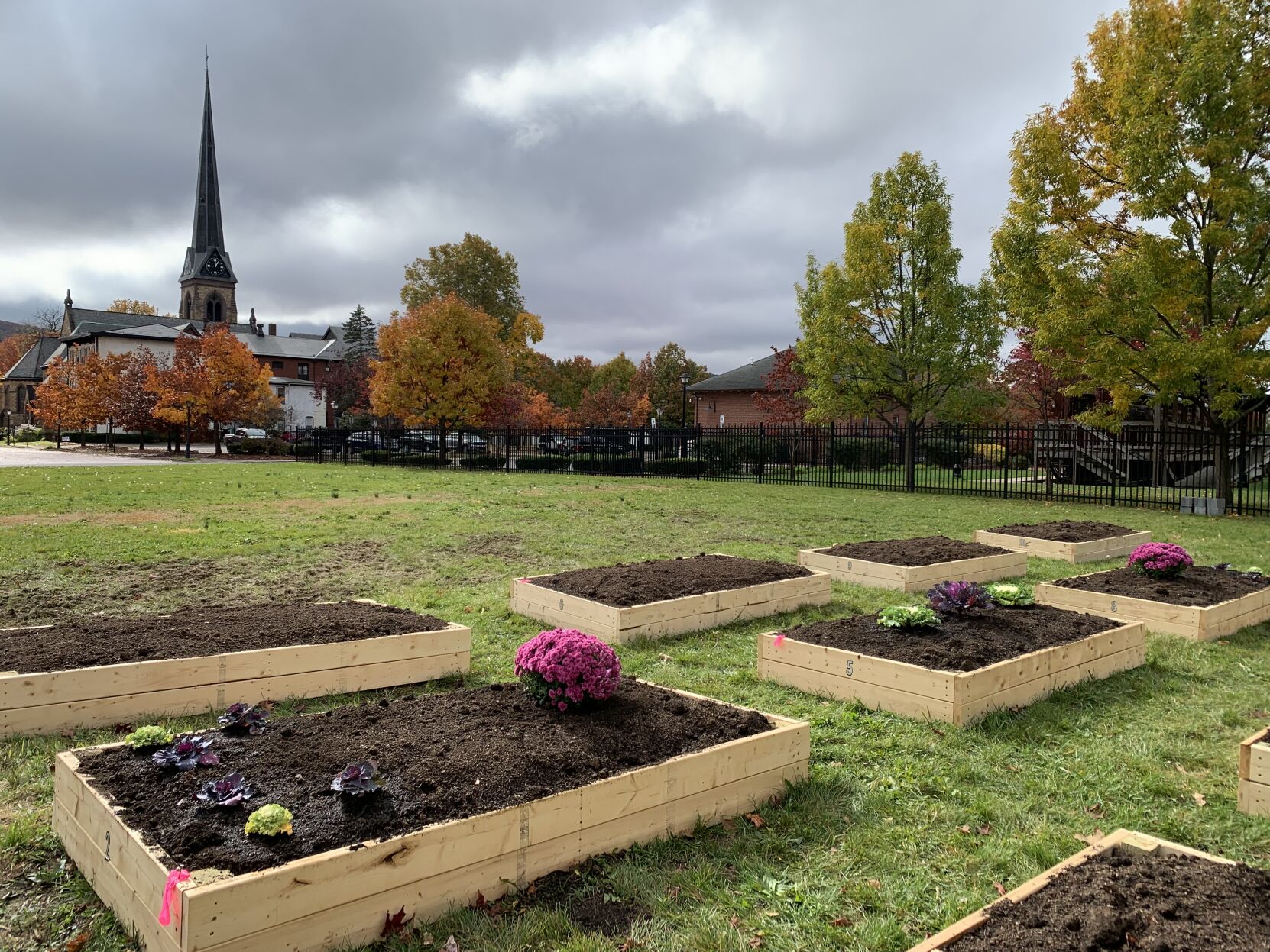 Finished beds with church in background.jpg